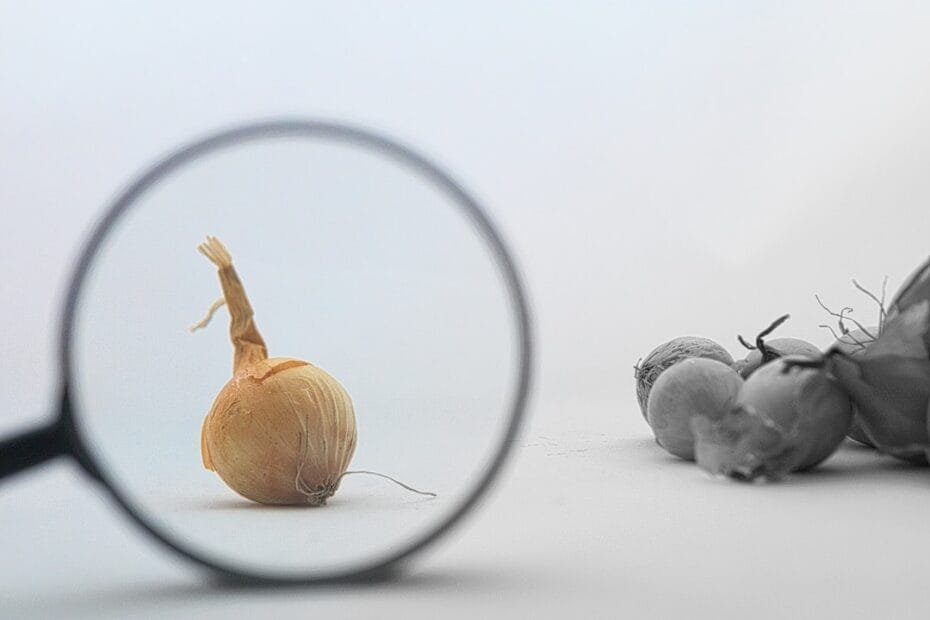 Antique Appraisal Near Me