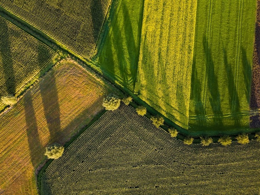 Agricultural Appraisals